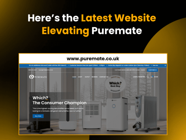 WordPress website restoration