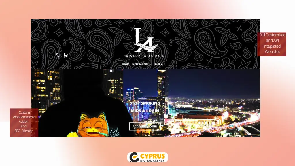 custom plugin development case study