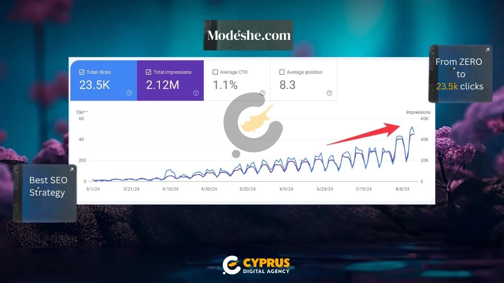 Modeshe SEO case study