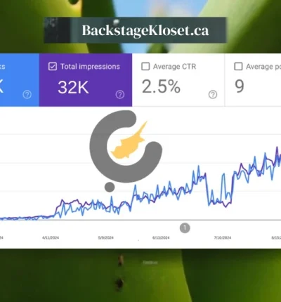 backstagekloset seo case study