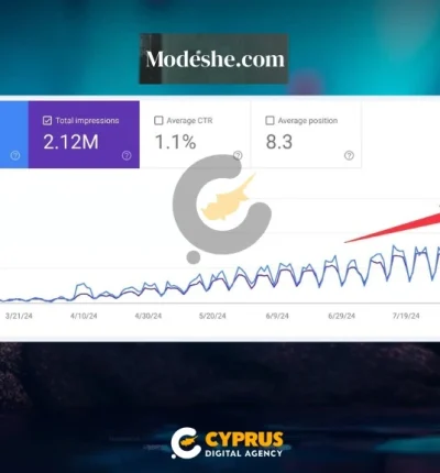 Modeshe SEO case study