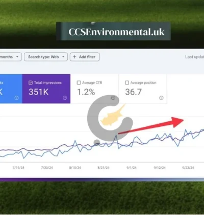 ccsenvironmental seo case study