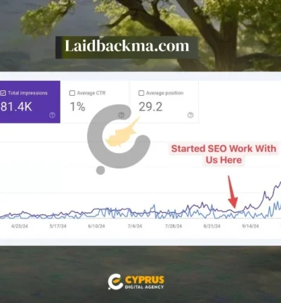 Laidbackma SEO case study